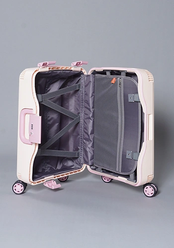 بطانة داخلية منظمة