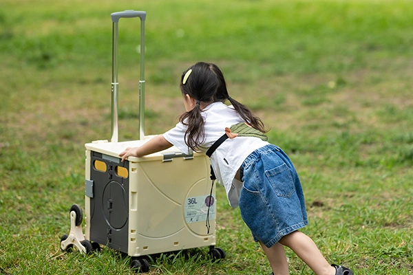 عربات أمتعة صندوقية قابلة للطي