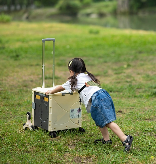 عربات أمتعة صندوقية قابلة للطي